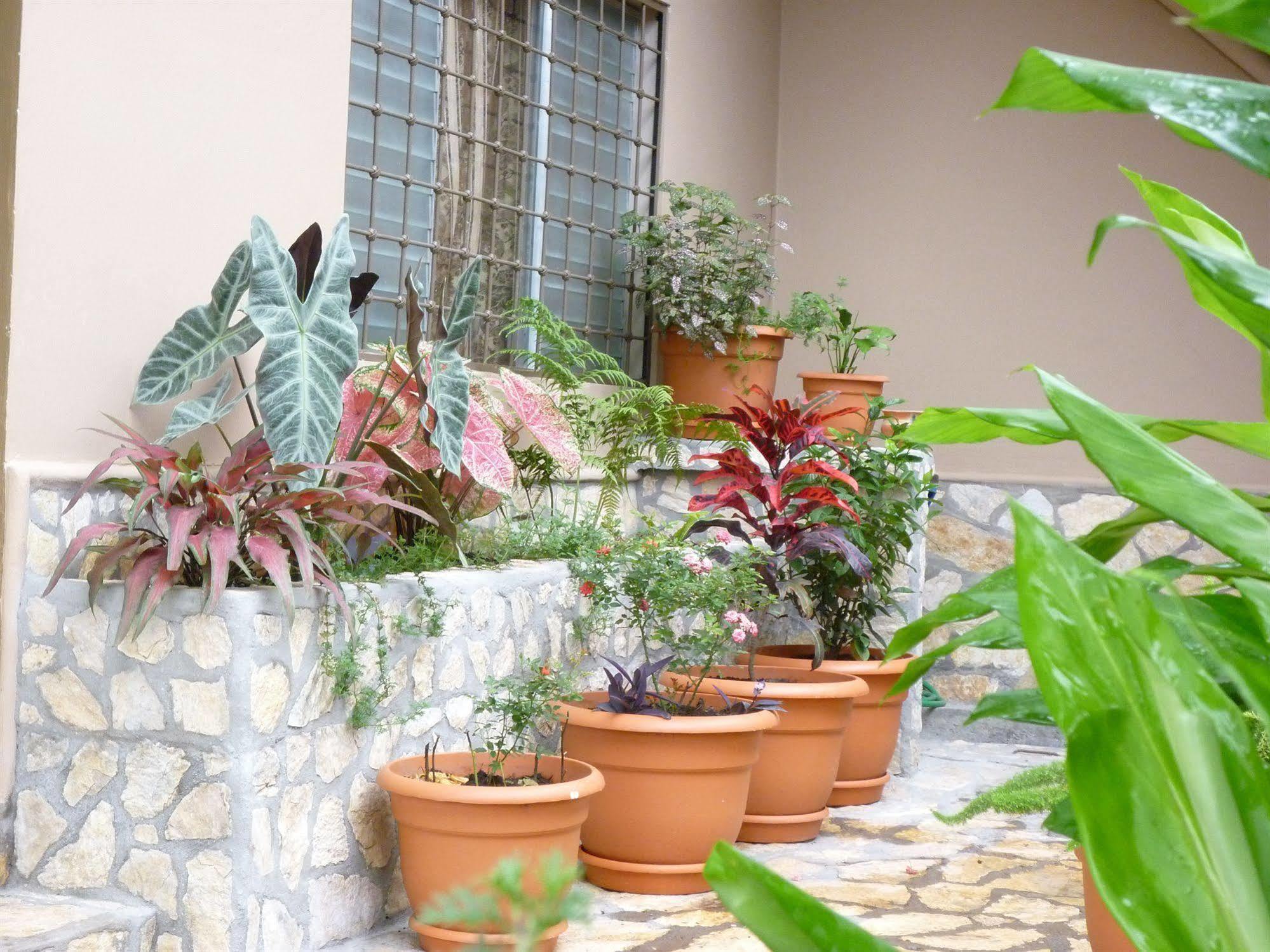 Hotel La Escalinata Copán 외부 사진